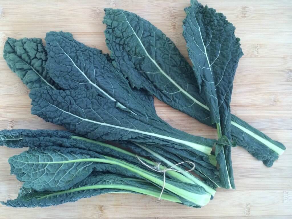 Image result for tuscan kale leaves