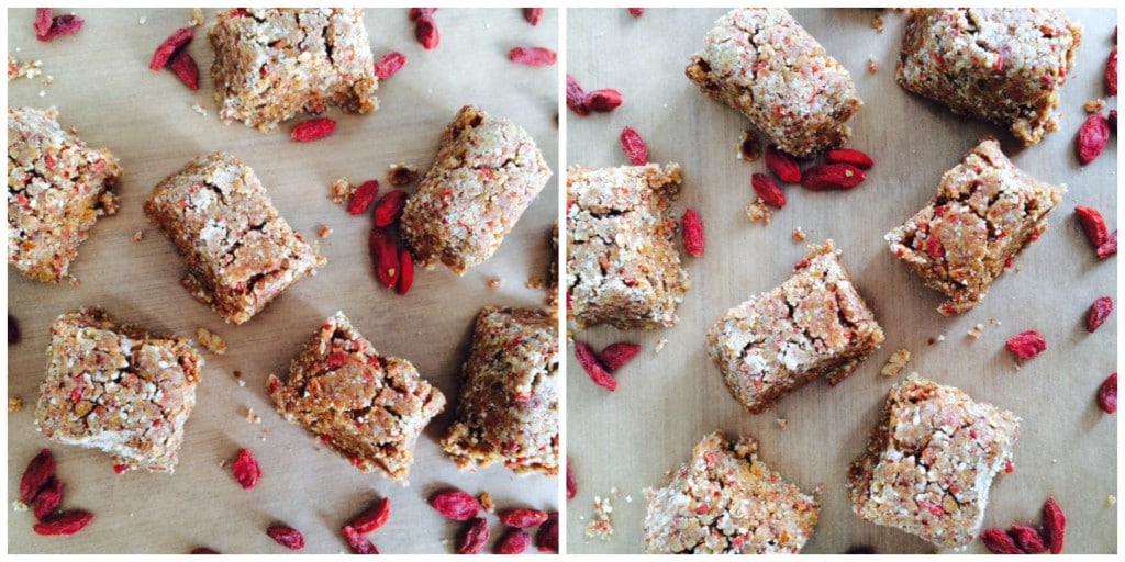 ALmond Goji Protein Bites Blog