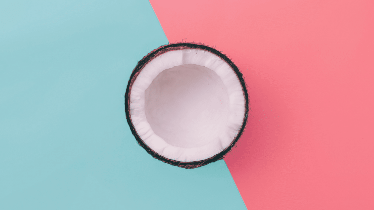 coconut milk recipe