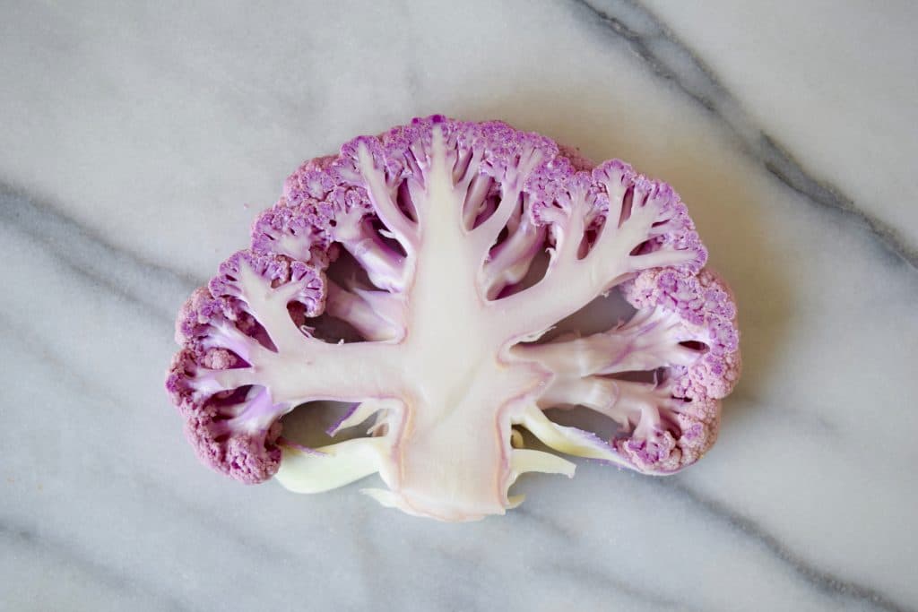 Purple Cauliflower Maria Marlowe