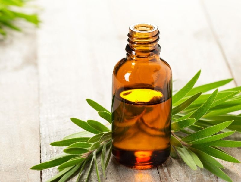 Top Natural Skincare For Acne-Prone Skin: Tea Tree Oil
