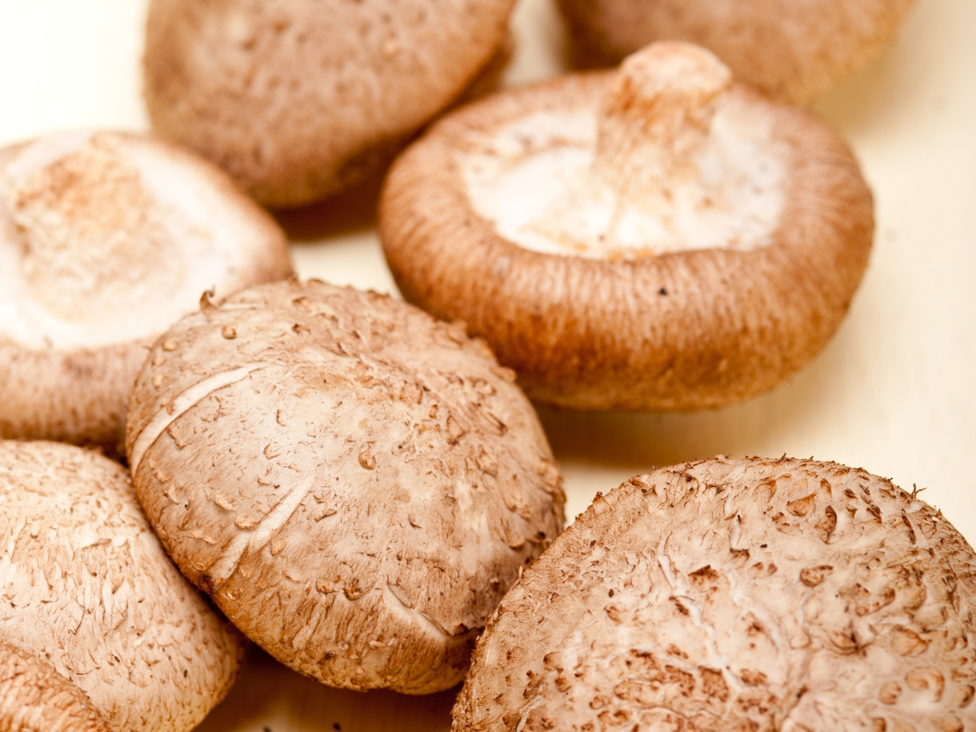 Health Benefits Of Mushrooms